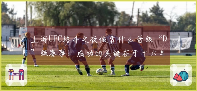 上海UFC格斗之夜依靠什么晋级“D”级赛事，成功的关键在于十六年市场培育！